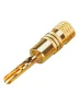Роз'єм Soundking CG124
