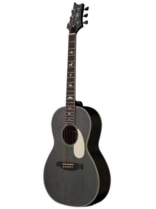 PRS SE P20E (Black Dog Hair)