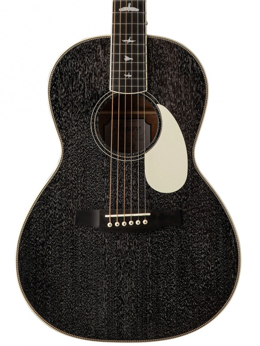 PRS SE P20E (Black Dog Hair)