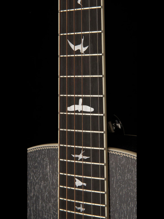 Електро-акустична гітара Електро-акустична гітара PRS SE P20E (Black Dog Hair)