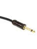 Інструментальний кабель D'Addario PW-AGRA-10 Curcuit Breaker Momentary Mute (3m)