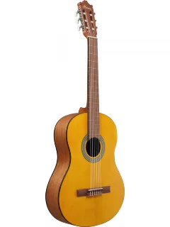 Ibanez GA3-OAM
