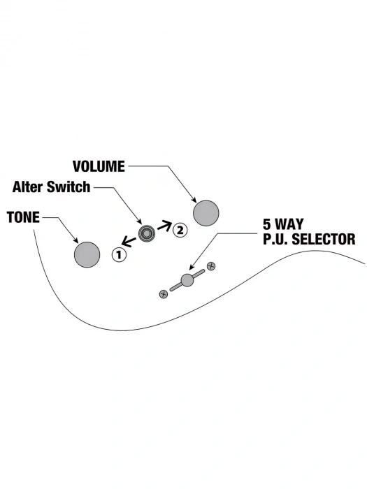Електрогітара Електрогітара Ibanez Q52FMG-DRL
