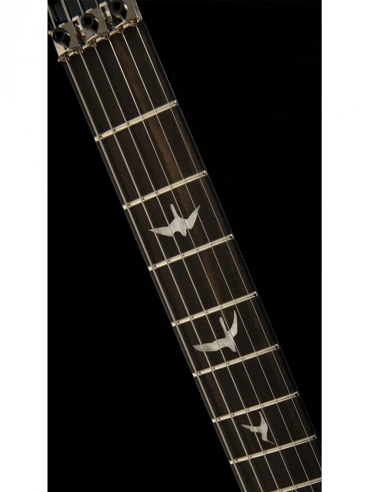 Електрогітара Електрогітара PRS SE Custom 24 Floyd (Charcoal Burst) 2023