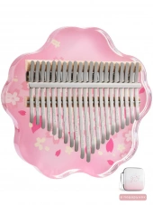 Hluru Huashu KHPS21 Printing Sakura Acrylic Hluru Huashu KHPS21 Printing Sakura Acrylic