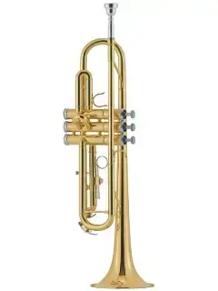 J.Michael TR-200A(P) Trumpet
