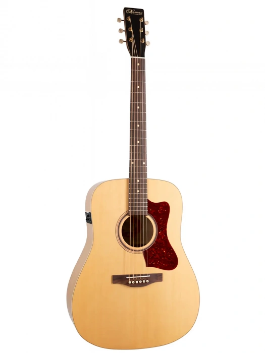 Norman B20 Natural GT Presys II