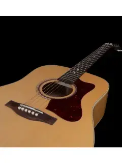 Norman B20 Natural GT Presys II