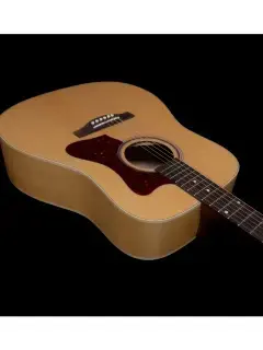 Norman B20 Natural GT Presys II