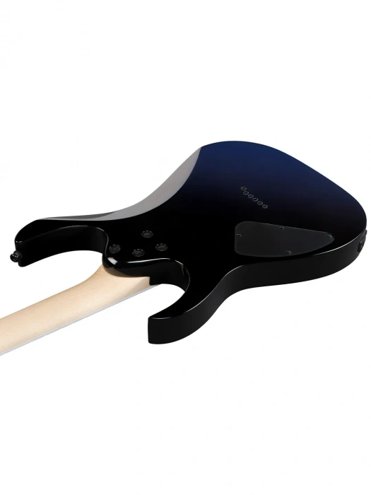 Електрогітара Електрогітара Ibanez RG421DX-TWS