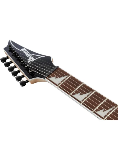 Електрогітара Ibanez RG421DX-TWS