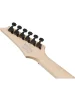 Електрогітара Ibanez RG421DX-TWS
