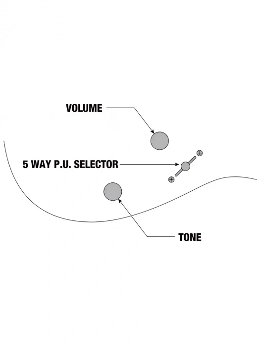 Електрогітара Електрогітара Ibanez RG421DX-TWS