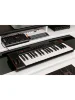MIDI клавіатура IK Multimedia iRig Keys 2 Pro
