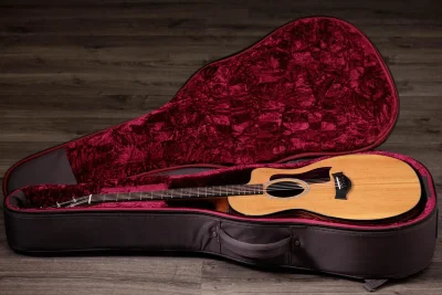 Електро-акустична гітара Taylor Guitars 214ce Plus
