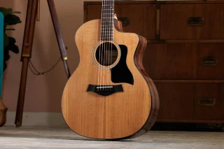 Taylor Guitars 214ce Plus
