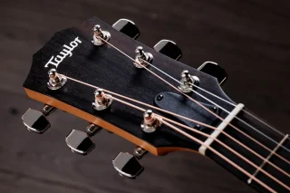 Taylor Guitars 214ce Plus