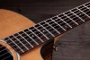 Електро-акустична гітара Taylor Guitars 214ce Plus