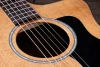 Електро-акустична гітара Taylor Guitars 214ce Plus