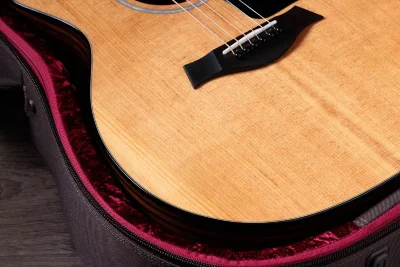 Електро-акустична гітара Taylor Guitars 214ce Plus