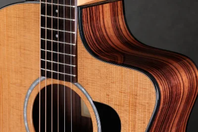 Електро-акустична гітара Taylor Guitars 214ce Plus