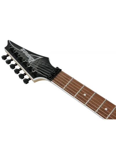 Електрогітара Ibanez RG450QMB-TGB