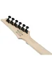 Електрогітара Ibanez RG450QMB-TGB