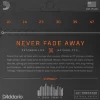 Струни D'Addario XTAPB1047 XT Phosphor Bronze Extra Light 10-47