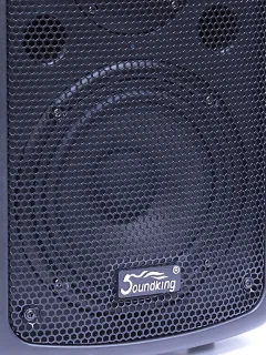 SoundKing Speaker for TOP S0610