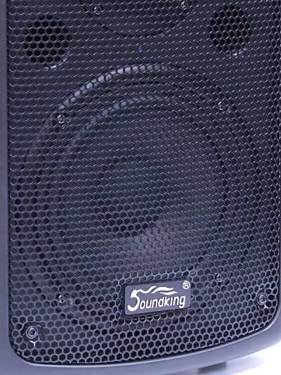 Динамік SoundKing Speaker for TOP S0610