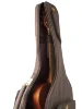 Чохол Ibanez IAB541 BR