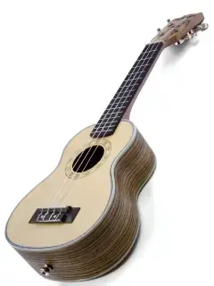 Parksons UK21Z