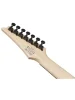 Електрогітара Ibanez RGA742EX-BAM