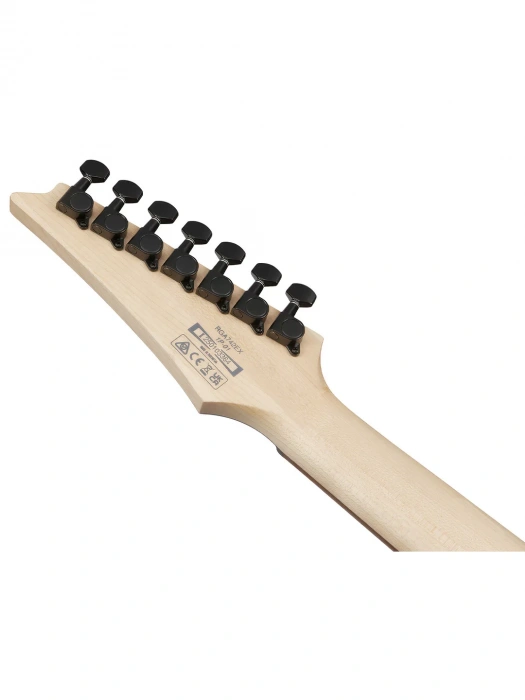 Електрогітара Електрогітара Ibanez RGA742EX-BAM