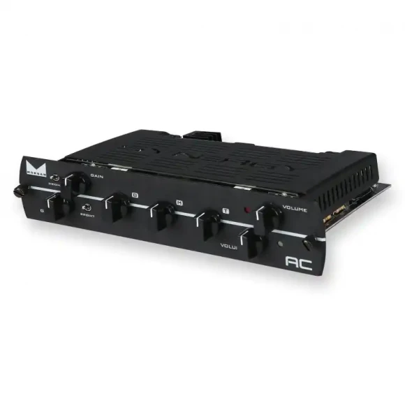 Гітарний підсилювач Synergy Morgan AC Module