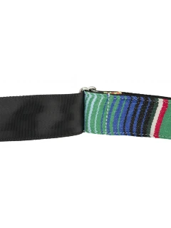 Fender Strap 2" Serape Green Multi