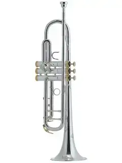 J.Michael TR-500S (S) Trumpet