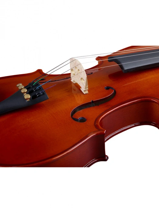 Stentor 1018C Student Standard 3/4