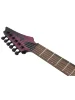 Електрогітара Ibanez RGD621AH-MNF
