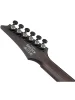Електрогітара Ibanez RGD621AH-MNF