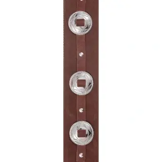 D'Addario 25SSC01 Deluxe Leather Guitar Strap (Conchos, Brown)