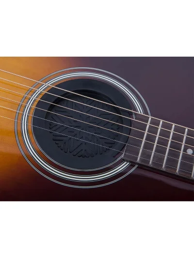 Супресор Fzone SC-100 Soundhole Cover