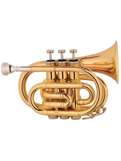 Труба Maxtone TT MINI 53L
