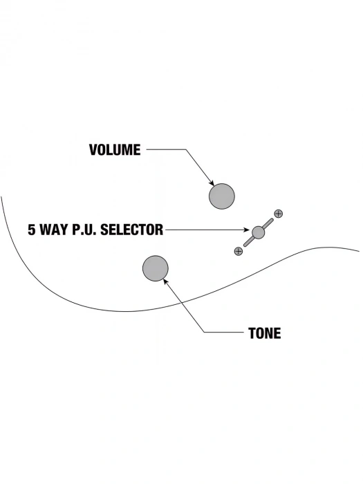 Електрогітара Електрогітара Ibanez RGR420FMSP-TGF