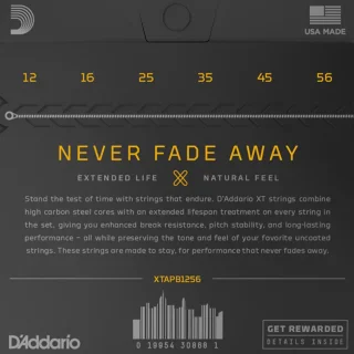 D'Addario XTAPB1256 XT Phosphor Bronze Light Top / Medium Bottom 12-56