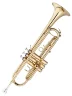 Труба Maxtone TTC23L