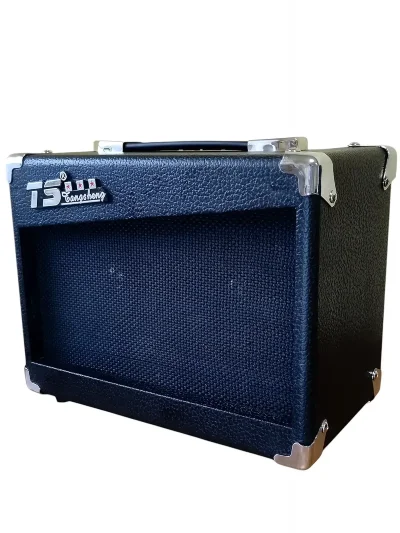 Комбопідсилювач Tangsheng TS AP-15 15W