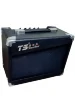 Комбопідсилювач Tangsheng TS AP-15 15W