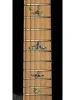 Електрогітара PRS SE NF53 (Black Doghair)