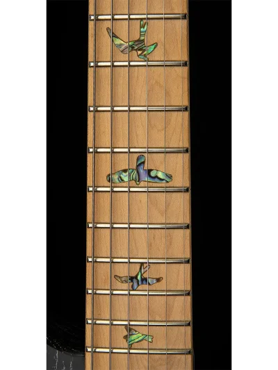 Електрогітара PRS SE NF53 (Black Doghair)